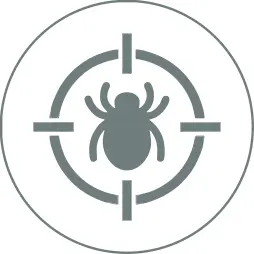 icon4